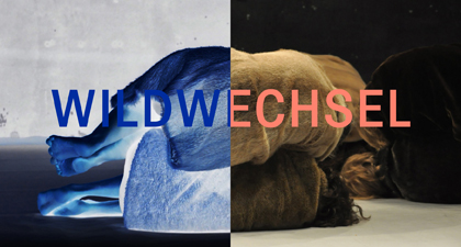 Musik zu Wildwechsel